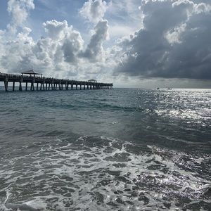 Meet your Posher, Martha